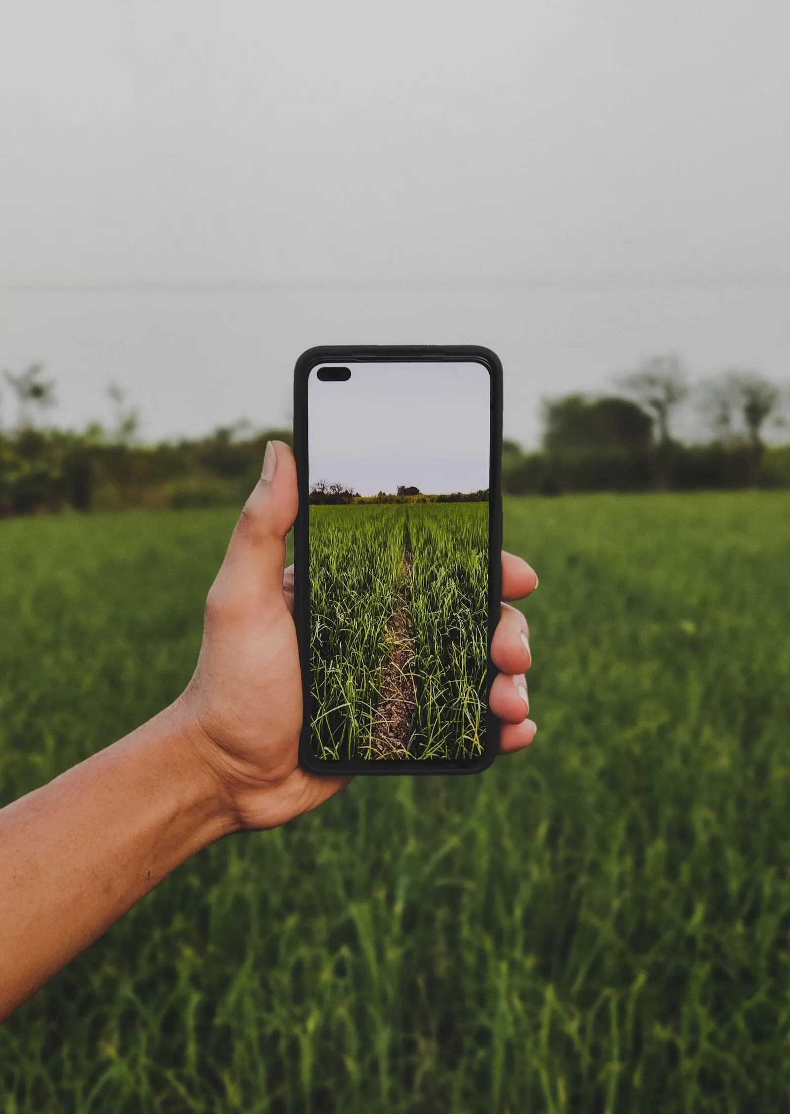 A farmer using a phone in a field
